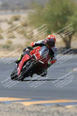 media/May-14-2023-SoCal Trackdays (Sun) [[024eb53b40]]/Turn 5 Tree of Life (1125am)/